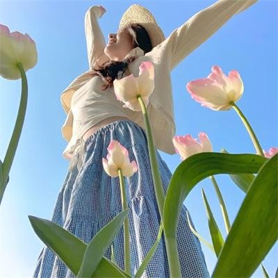 卡通明星大乱斗第一季