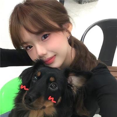 养狗与猫每天都很开心